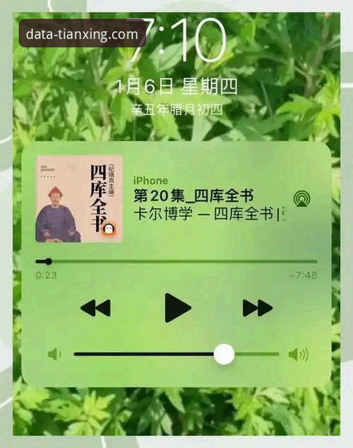 天行体育平台数据服务完整指南:从下载到深度分析的使用手册